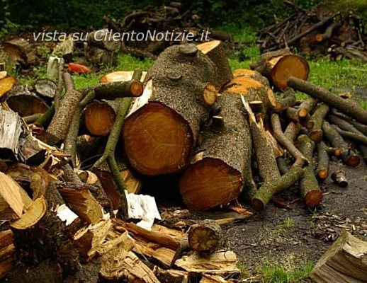 Legna tagliata sanza 10072012