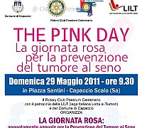 Locandina pinkDay2011 web Locandina pinkDay2011 web