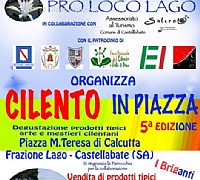 Locandina 2011 cilentoinpiazza lago