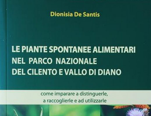 Piante spontanee alimentari nel Parco Nazionale del Cilento e Vallo di Diano Piante spontanee alimentari nel Parco Nazionale del Cilento e Vallo di Diano