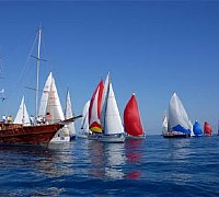 Regata delle Torri Saracene