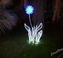 Salerno luci artista 2010 017 Salerno luci artista 2010 017