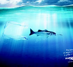 SetteGreen Awards  a Pollica SetteGreen Awards  a Pollica