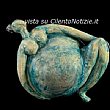 Cultura foto - Teresa Salsano evoluzione installazione