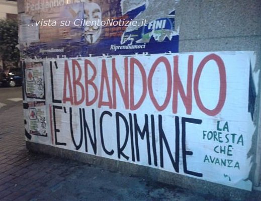 abbandono cani crimine salerno 2012