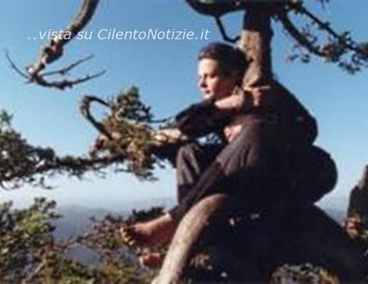 Paolo-Abbate foto - aggrappato all'albero no deforestazione