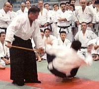 aikido