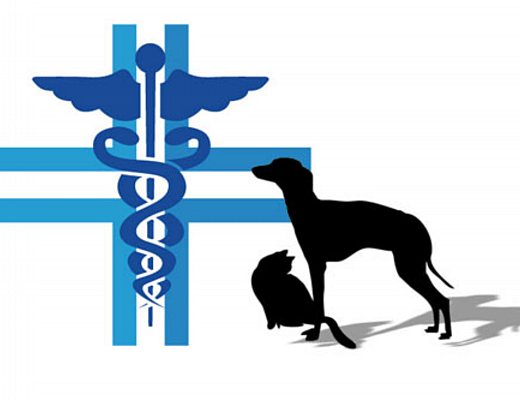 ambulatorio veterinario