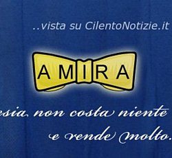 amira logo