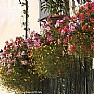 Concorsi foto - balcone fiorito