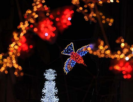 bellissime luci d artista salerno