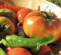 biologico3 biologico3