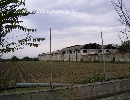 Paolo-Abbate foto - bonifica amianto nel Cilento articolo Abbate 01