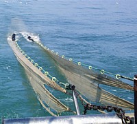 cala rete a strascico cala rete a strascico