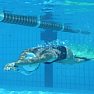 Sport foto - campionati di nuoto pinnato
