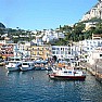 Politica foto - capri port wonderful