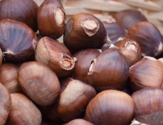 castagne cuccaro vetere G