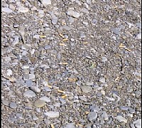 cicche spiaggia sapri 2011 cicche spiaggia sapri 2011