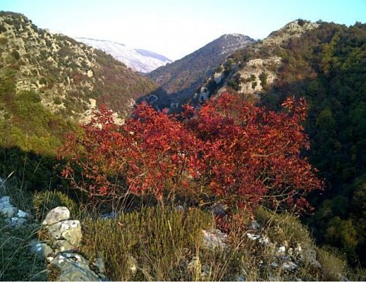 Giuseppe-Conte foto - cilento e il calore art conte 02032012 01