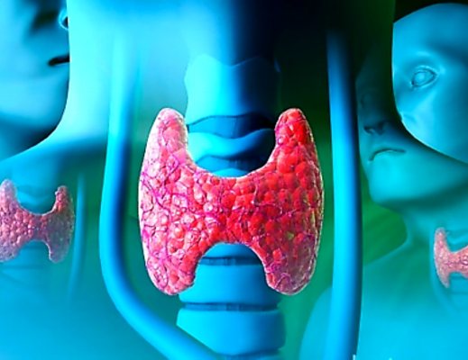 cilento salute tiroide