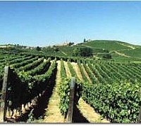 coltivazioni salerno