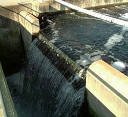 contributo acque reflue