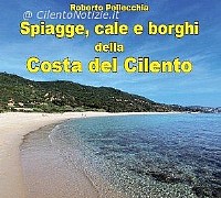 copertina pellecchia 01 copertina pellecchia 01