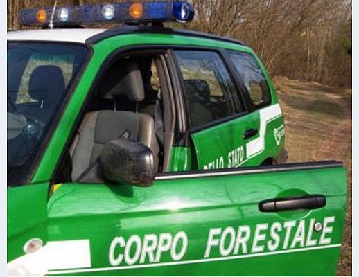 Nicola-Salati foto - corpo forestale2