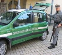 cronaca forestale 180 135