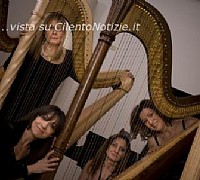 daphne chamber group