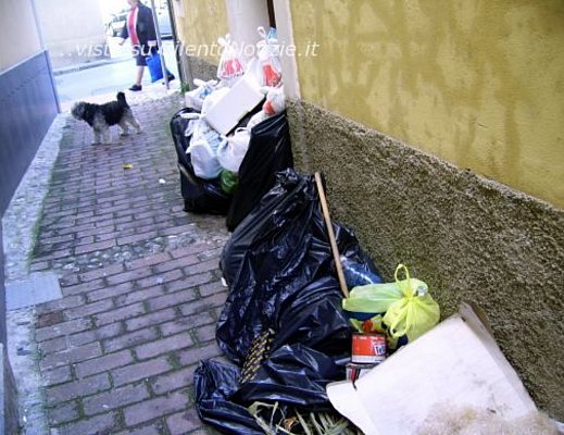 differenziata sapri multe 25112011 02 differenziata sapri multe 25112011 02