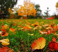 ecologia ambiente cilento