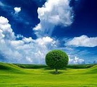 ecologia ambiente natura ecologia ambiente natura