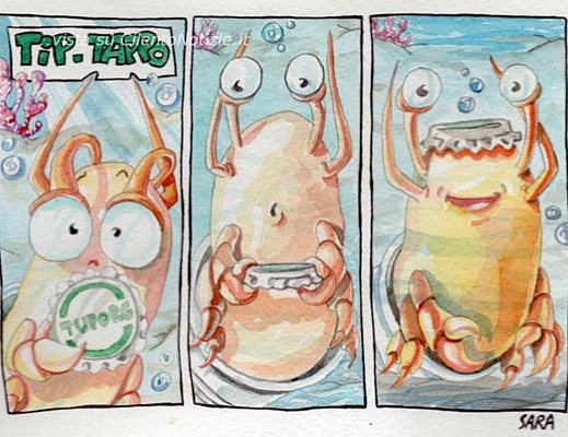 ecomusicfest cilento