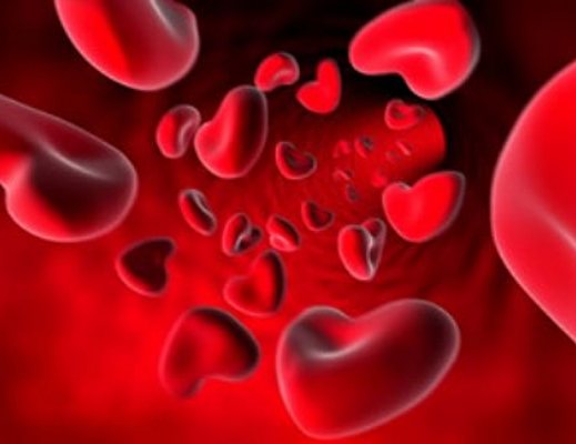 ematologia 2405 ematologia 2405