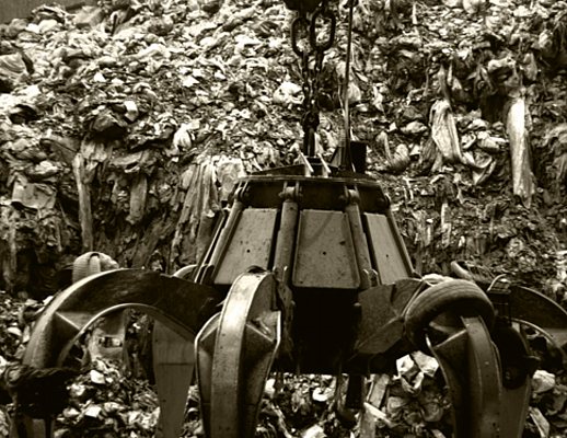 emergenza rifiuti in campania