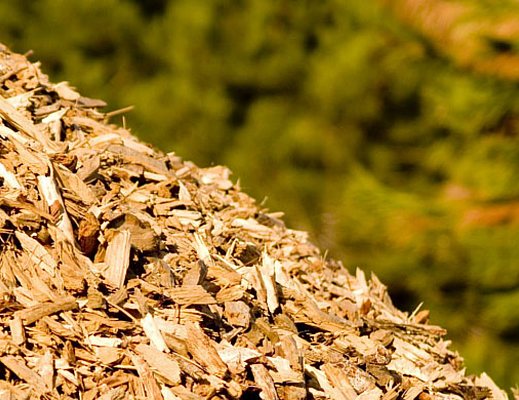 energia trasformazione biomasse