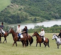 equiraduno cavalli equestre