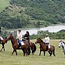 Spettacoli-eventi foto - equiraduno cavalli equestre