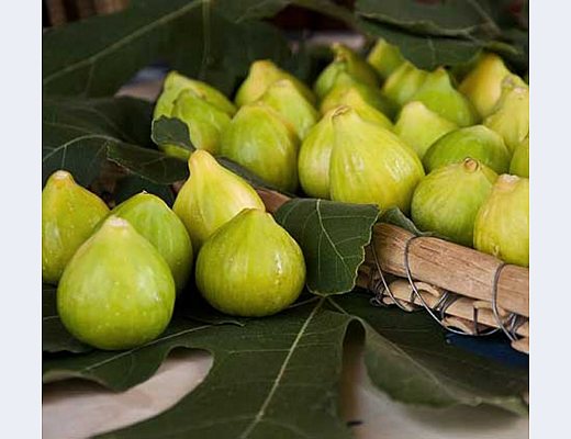 evento il fico bianco
