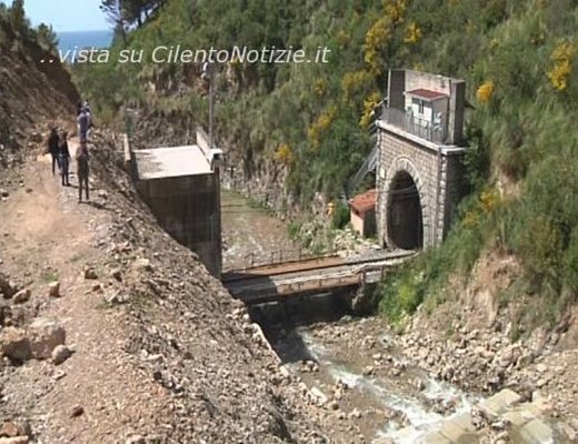 foto si sav frana di pisciotta
