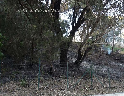 Paolo-Abbate foto - fuochi d artificio e sughere vibonati