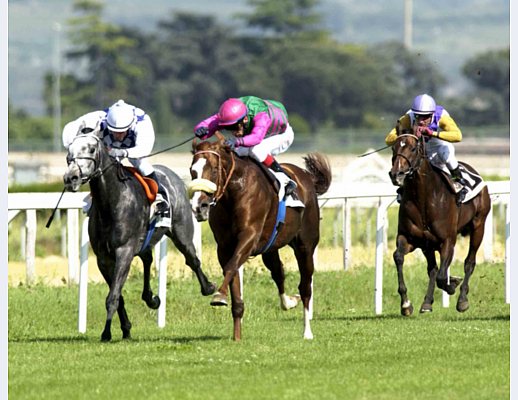 giochi comparto ippico