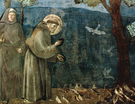 Bianca-Fasano foto - giotto san francesco predica agli uccelli