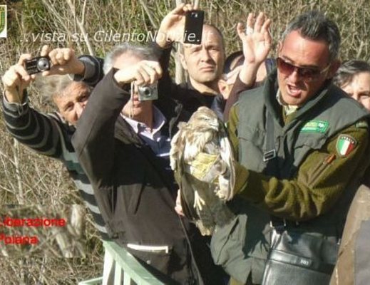 guardie wwf liberazione esemplare vietri