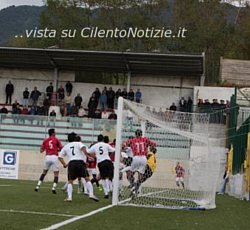 il gold della gelbison