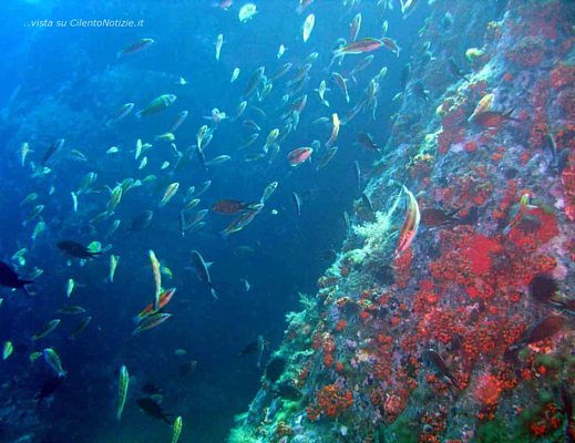 in un mare di scienza madonna3