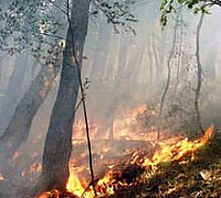 incendio camerota incendio camerota