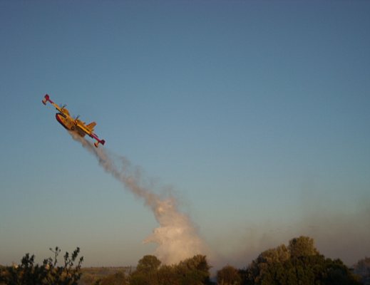 incendio canadair in azione