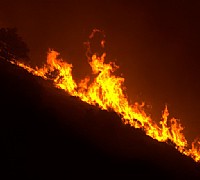 incendio nel cilento